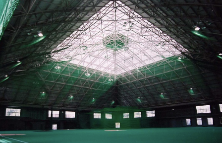 ピックルのイメージ画像